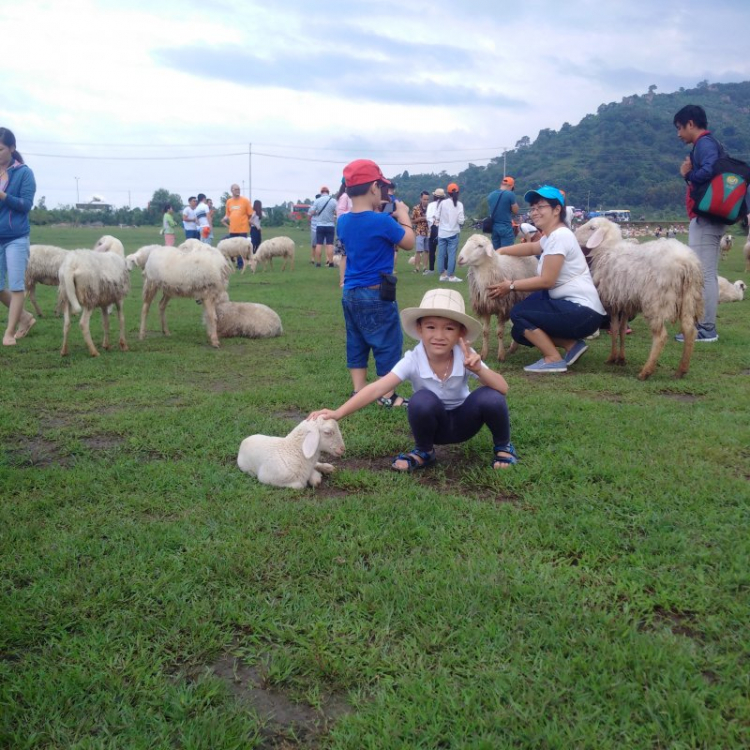 Jolie - Trên những nẻo đường