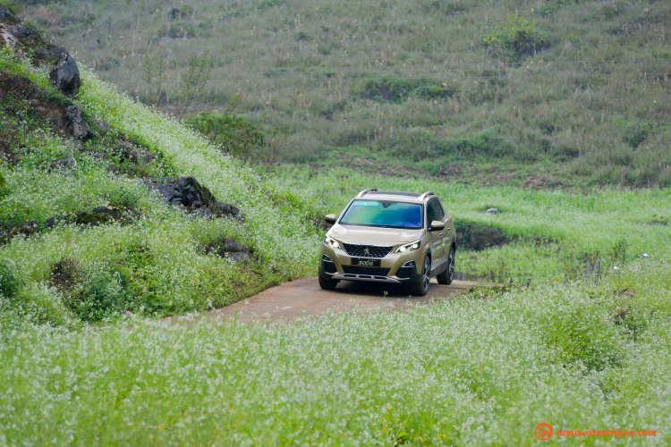 Peugeot 3008 và 5008 thế hệ mới sẽ ra mắt sớm ở Việt Nam; xe đẹp, hiện đại, chỉ chờ giá Peugeot 3008 và 5008 thế hệ mới sẽ ra mắt sớm ở Việt Nam; xe đẹp, hiện đại, chỉ chờ giá