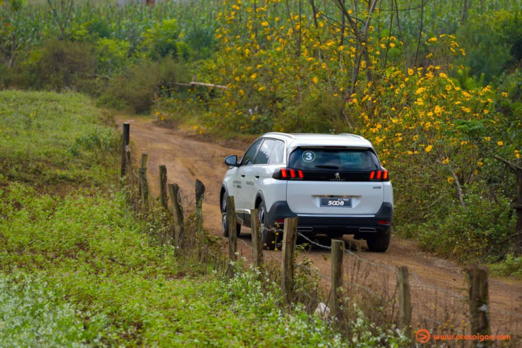 Peugeot 3008 và 5008 thế hệ mới sẽ ra mắt sớm ở Việt Nam; xe đẹp, hiện đại, chỉ chờ giá