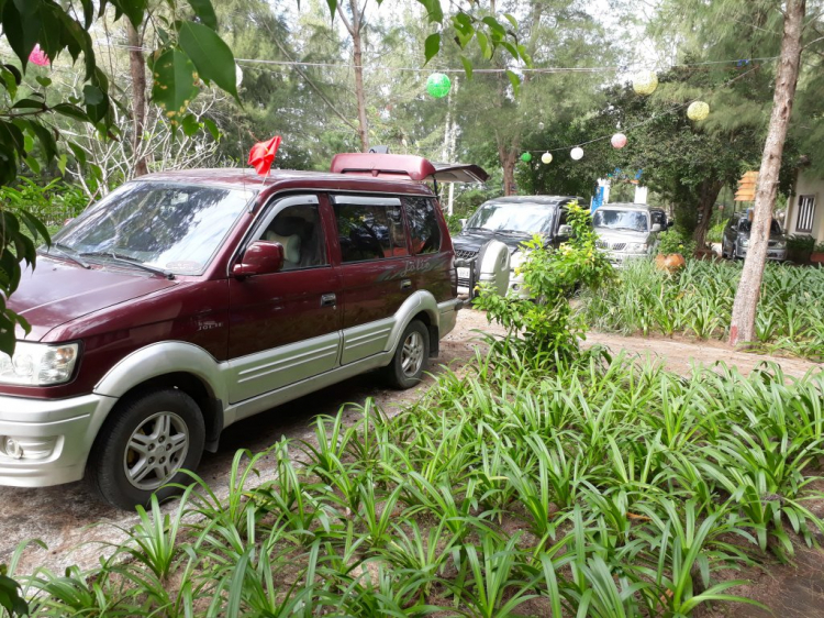 Jolie - Trên những nẻo đường