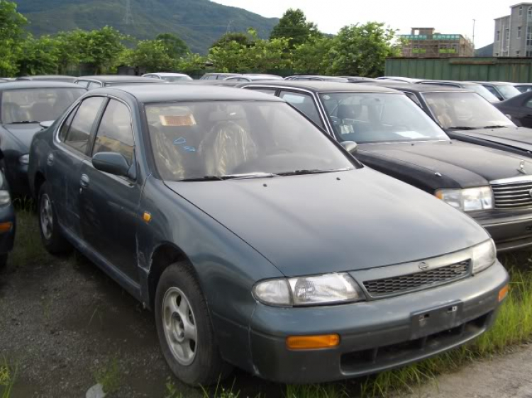 nissan bluebird