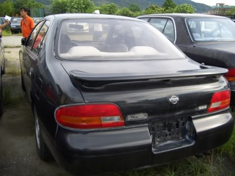 nissan bluebird