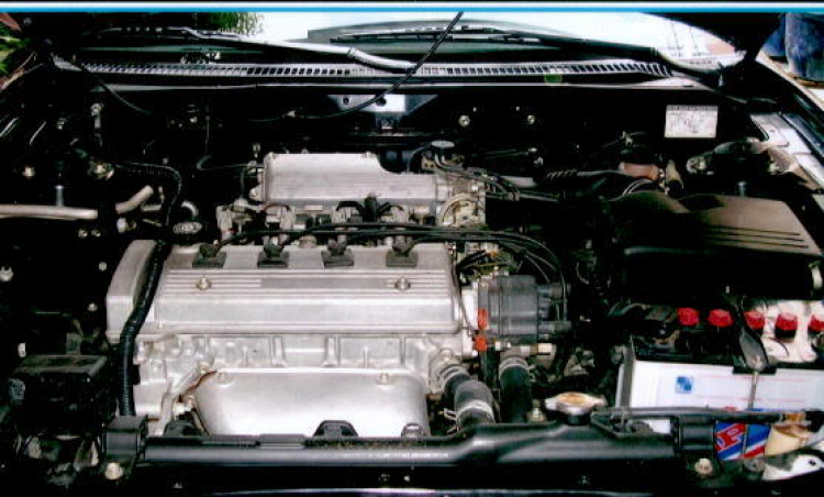 Celica - Sao chưa có ở Việt nam? Celica - Sao chưa có ở Việt nam?