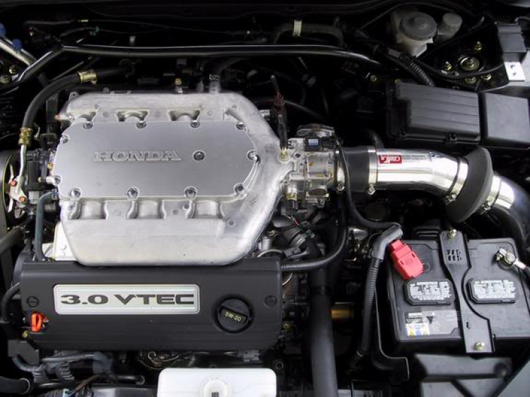 Civic của con heo mập bạn em !