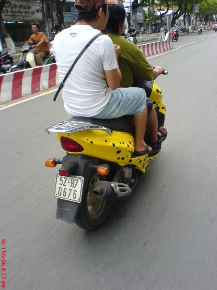 avenis đẹp