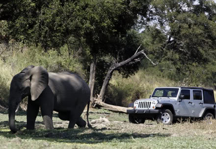 Jeep Wrangler