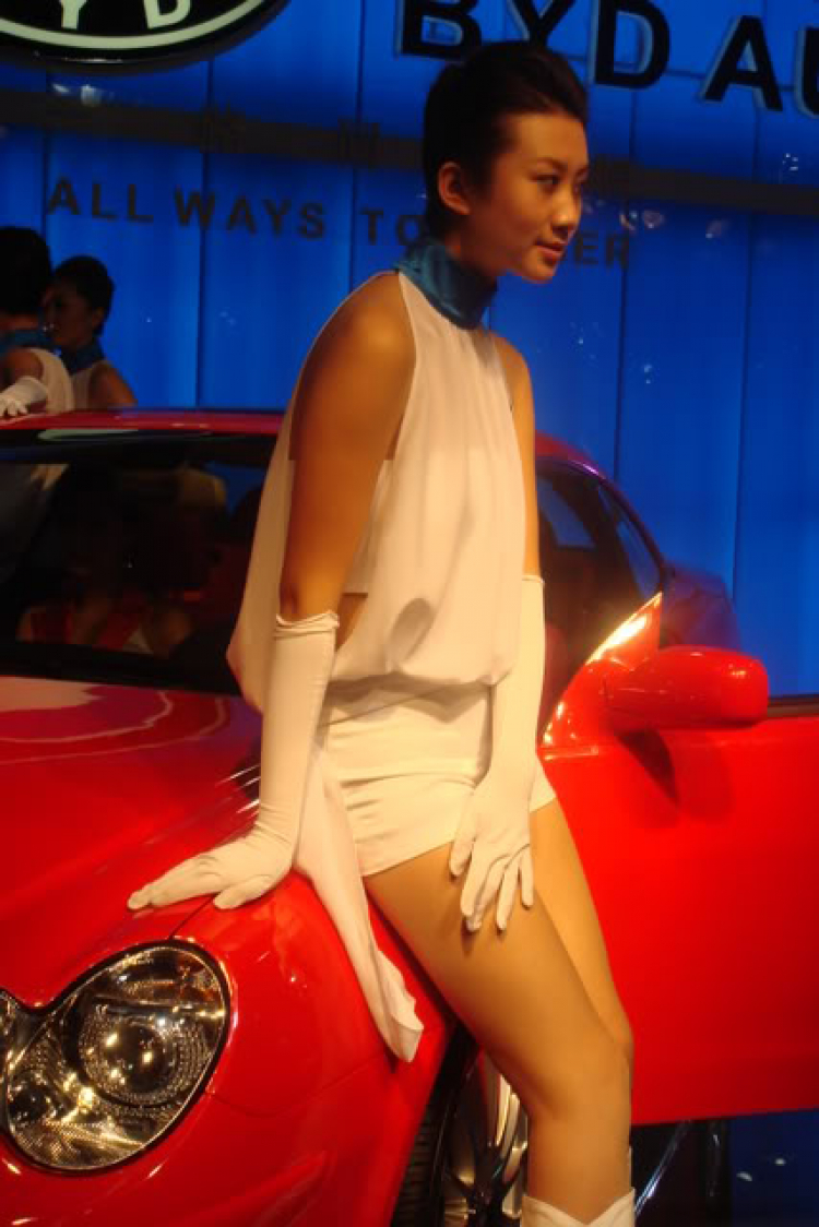 Auto China show 2006