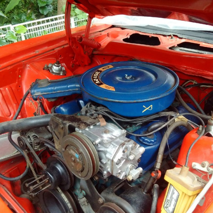 Kiếm 1 em mustang cổ Kiếm 1 em mustang cổ