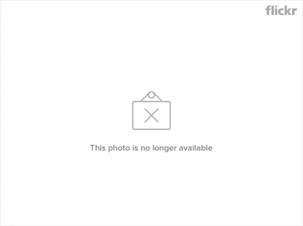 504669170_913f24039a.png