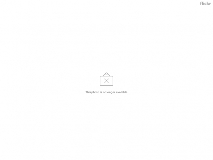 504670020_40f29eb5a7_o.png