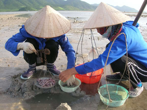 Dã ngoại T8 OSHN Dã ngoại T8 OSHN