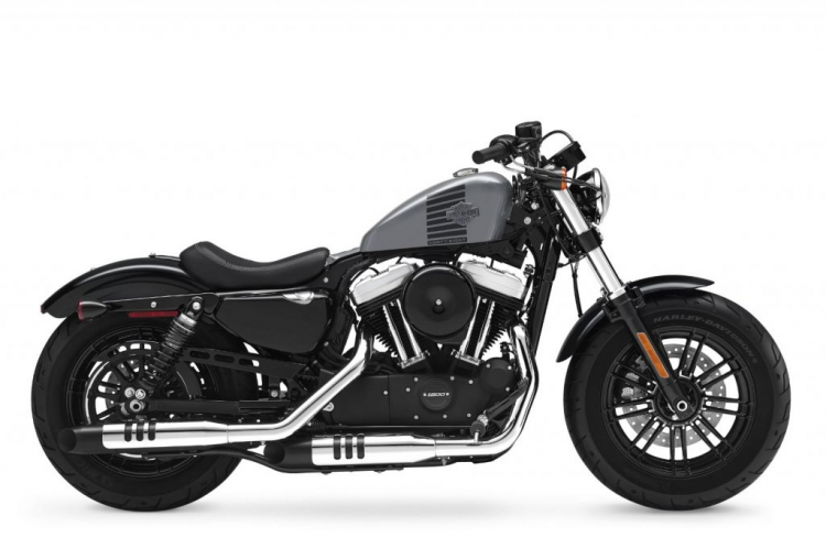 HD 48 hay Indian scout bobber