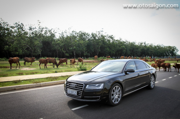 Trải nghiệm khoang lái thương gia trên Audi A8L 2014 Trải nghiệm khoang lái thương gia trên Audi A8L 2014