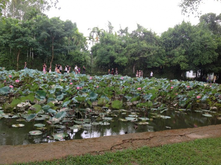 Xuyên Việt (trên 5.000 km), hành trình đáng nhớ