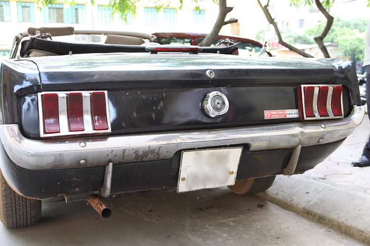 Mustang 1964 1/2 và 1965 Khác nhau như thế nào ? Mustang 1964 1/2 và 1965 Khác nhau như thế nào ?
