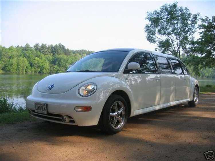 VW Beetle Limousine !!!!