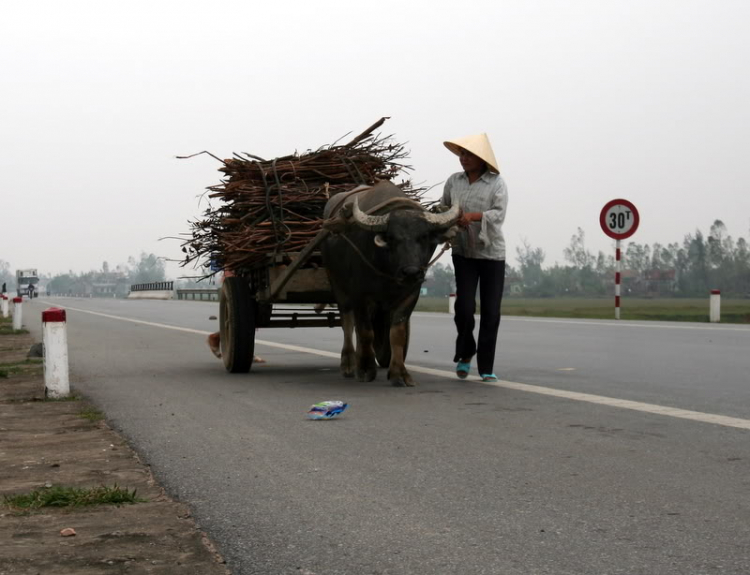 Nhớ về Sài Gòn