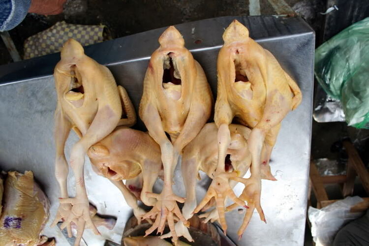 Nhớ về Sài Gòn Nhớ về Sài Gòn
