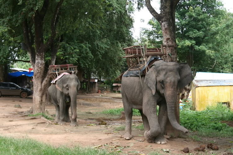 Nhớ về Sài Gòn