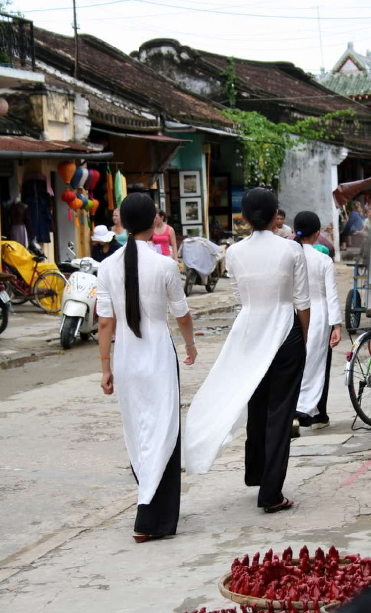 Nam du ký- hồi ức 1 chuyến đi. Nam du ký- hồi ức 1 chuyến đi.