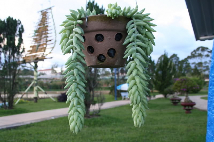 Nam du ký- hồi ức 1 chuyến đi.