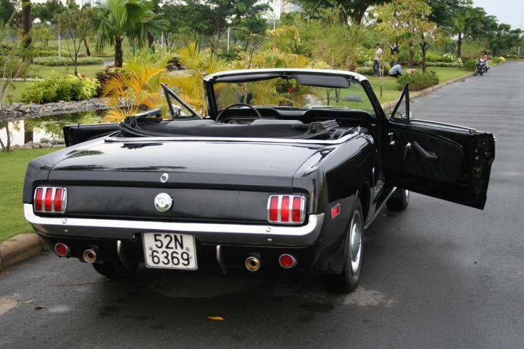 Mustang 1964 1/2 và 1965 Khác nhau như thế nào ?