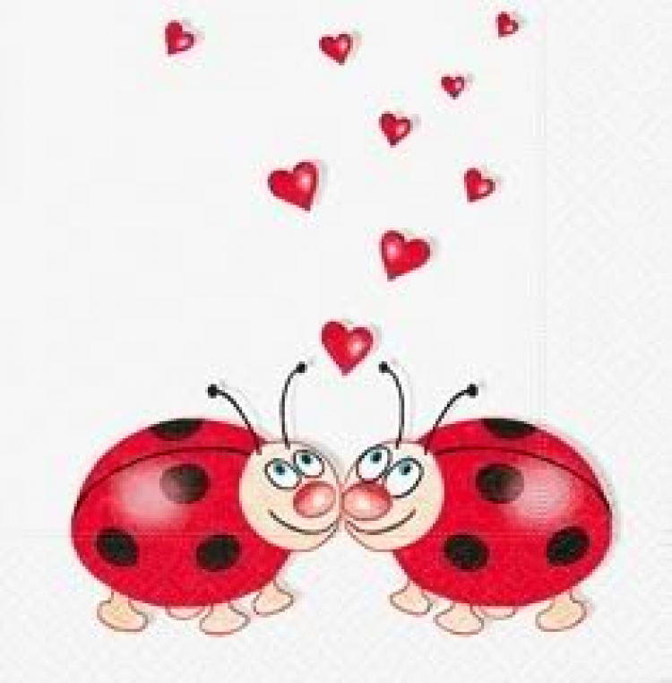 ảnh vui về con bọ ảnh vui về con bọ