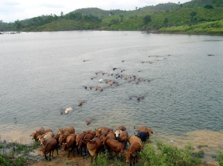 Quê hương em