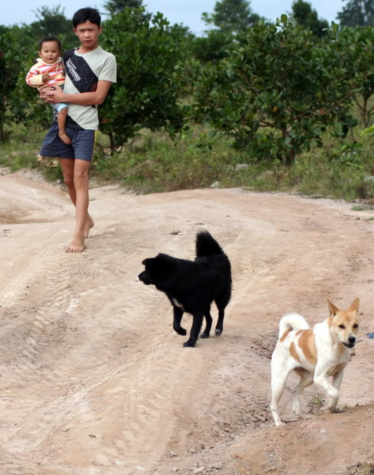 Quê hương em