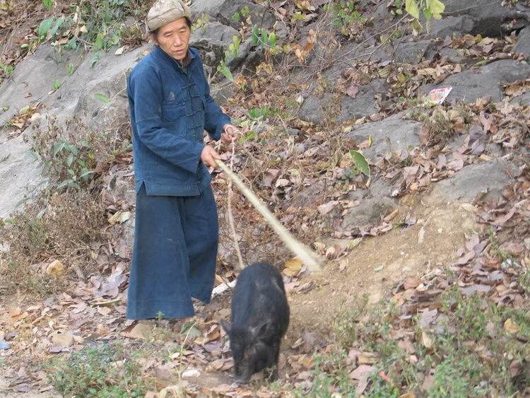 Hà nội - Tây bắc du ký