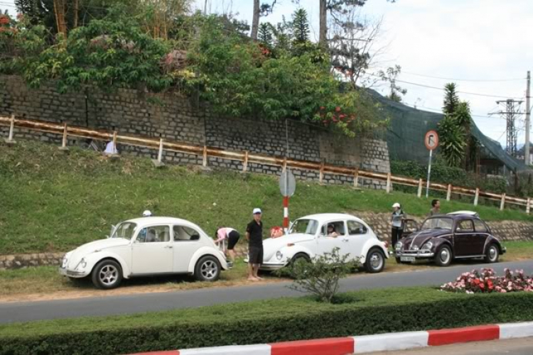 Hình ảnh sơ bộ hội bọ tham gia lễ hội Đà Lạt 12-2007 Hình ảnh sơ bộ hội bọ tham gia lễ hội Đà Lạt 12-2007
