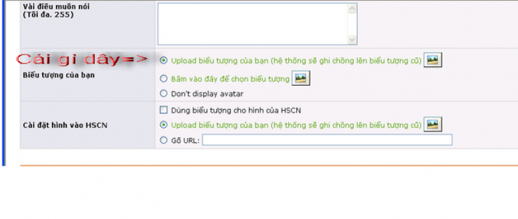 Sao em ko đặt hình avatar như ý em được? Sao em ko đặt hình avatar như ý em được?