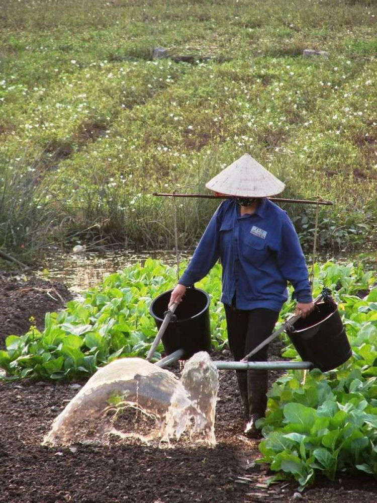 Quê hương em