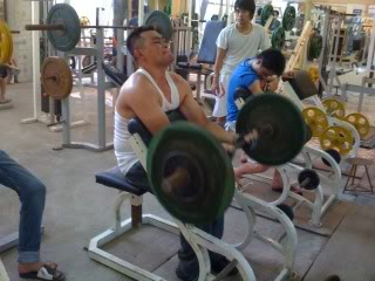 Chi hội OS Hải Phòng, Thành phố hoa Phượng đỏ