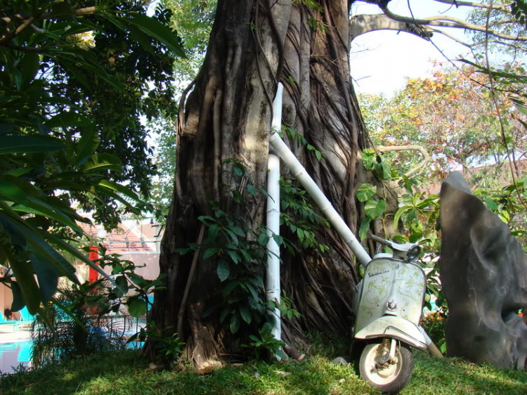 Ăn Tết Mậu Tý ở Nha Trang