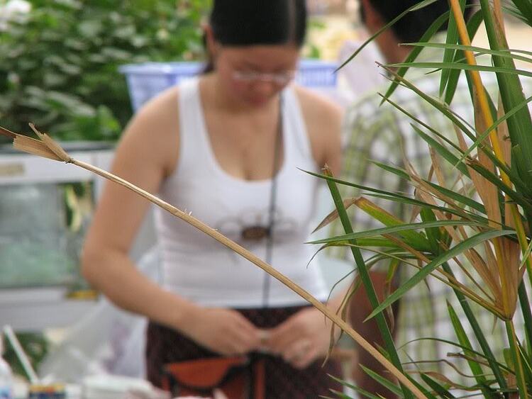 Chi Hội OtoSaigon Miền Tây (OSMT)