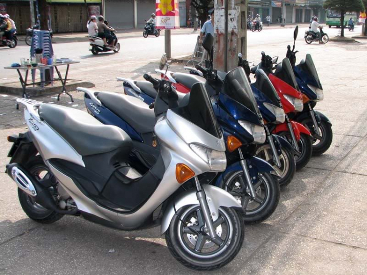 Suzuki EPICURO & AVENIS (Những điểm cần biết)