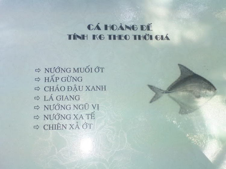 Chương trình câu cá - dã ngoại OSFC: Hồ Trị An- Đảo Ó - (05-06/04/08)