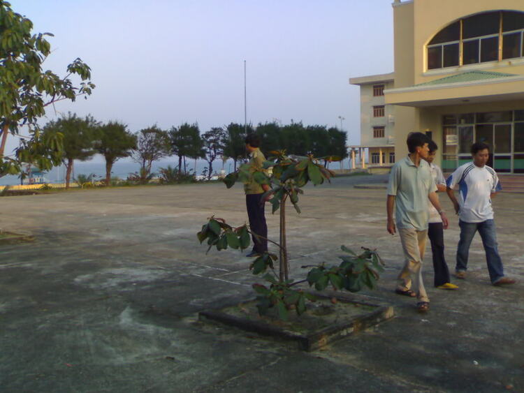 OS OFFLINE 3 MIỀN OS OFFLINE 3 MIỀN