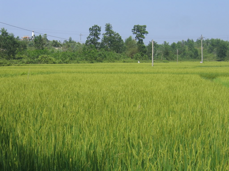 HFC - OFF : LẦN ĐẦU TIÊN THÀNH LẬP HỘI CIVIC NĂM 2007