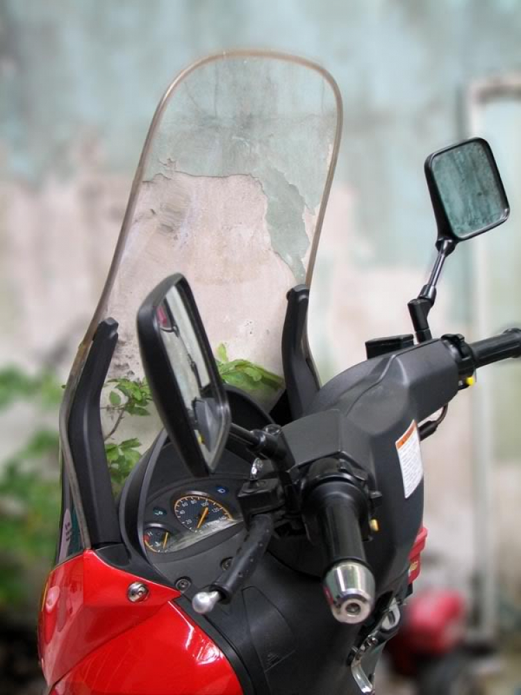 Suzuki EPICURO & AVENIS (Những điểm cần biết)