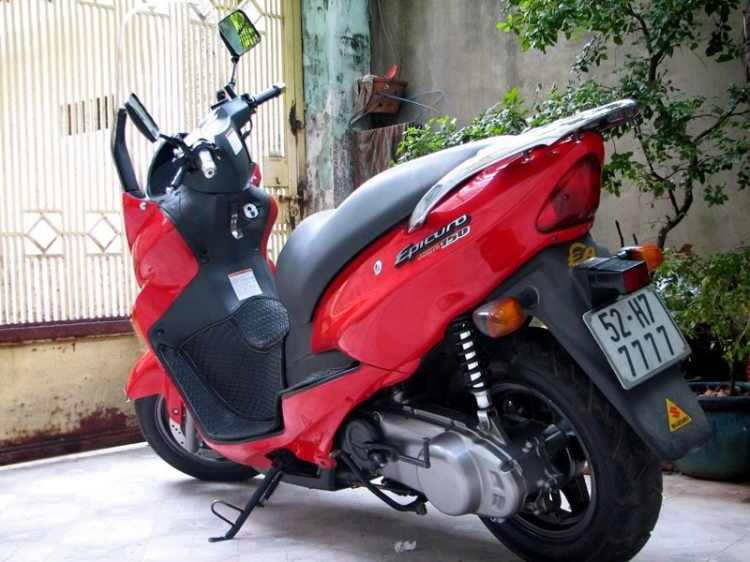 Suzuki EPICURO & AVENIS (Những điểm cần biết)
