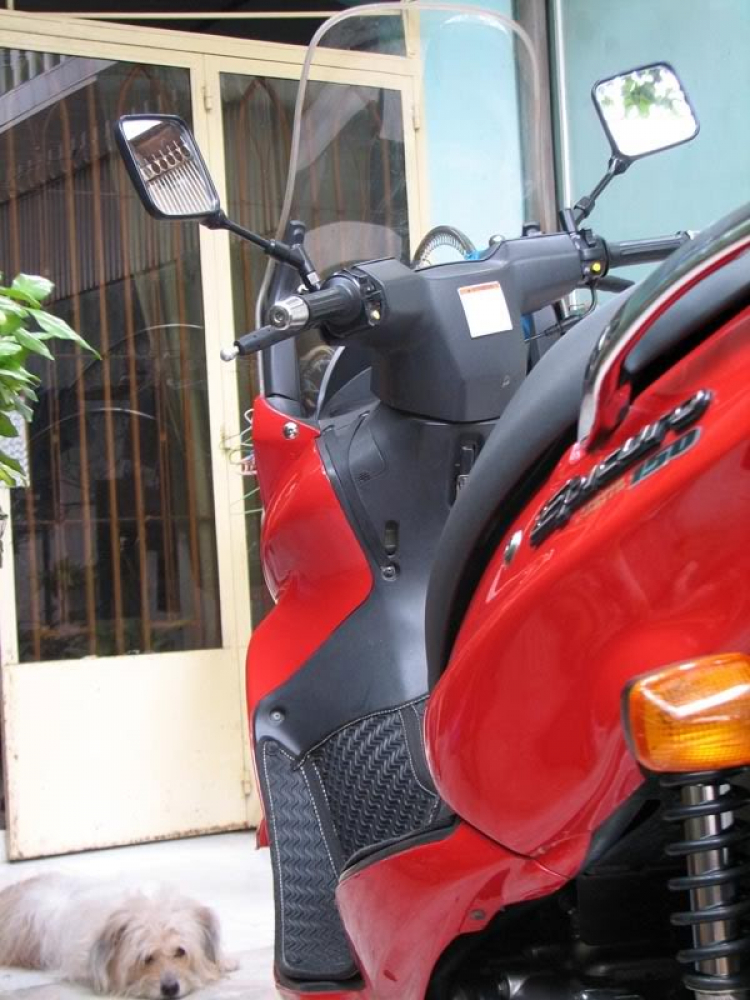 Suzuki EPICURO & AVENIS (Những điểm cần biết)