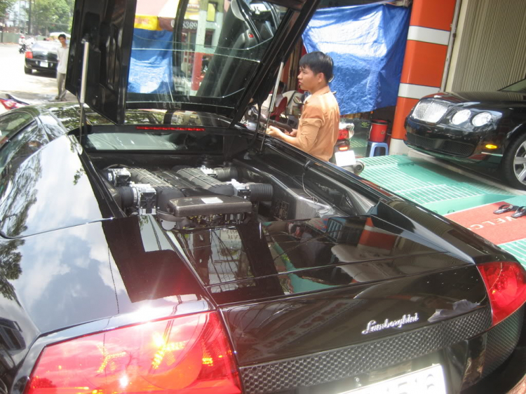 Con Quỹ dữ Lamborghini LP640 tại tp Bác Con Quỹ dữ Lamborghini LP640 tại tp Bác