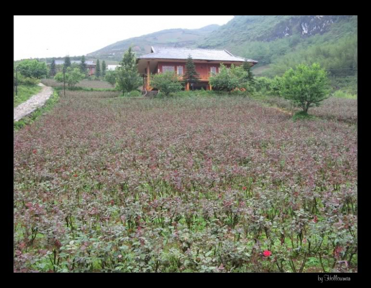 Sapa & Lao Cai - Một vài hình ảnh.