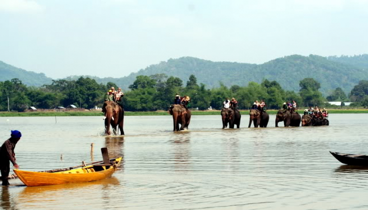 rụt rè show hàng tí