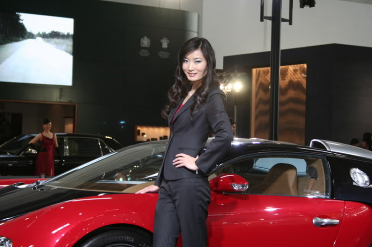 2008 Beijing International Automotive Exhibition