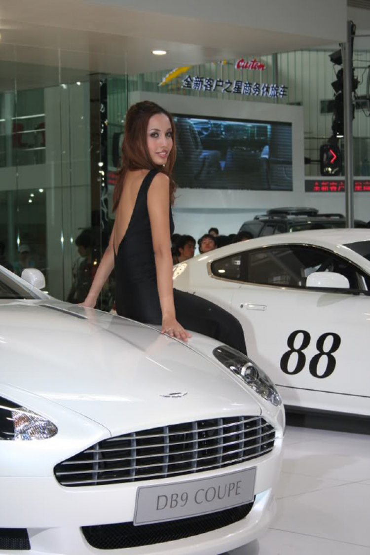 2008 Beijing International Automotive Exhibition