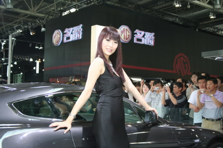 2008 Beijing International Automotive Exhibition