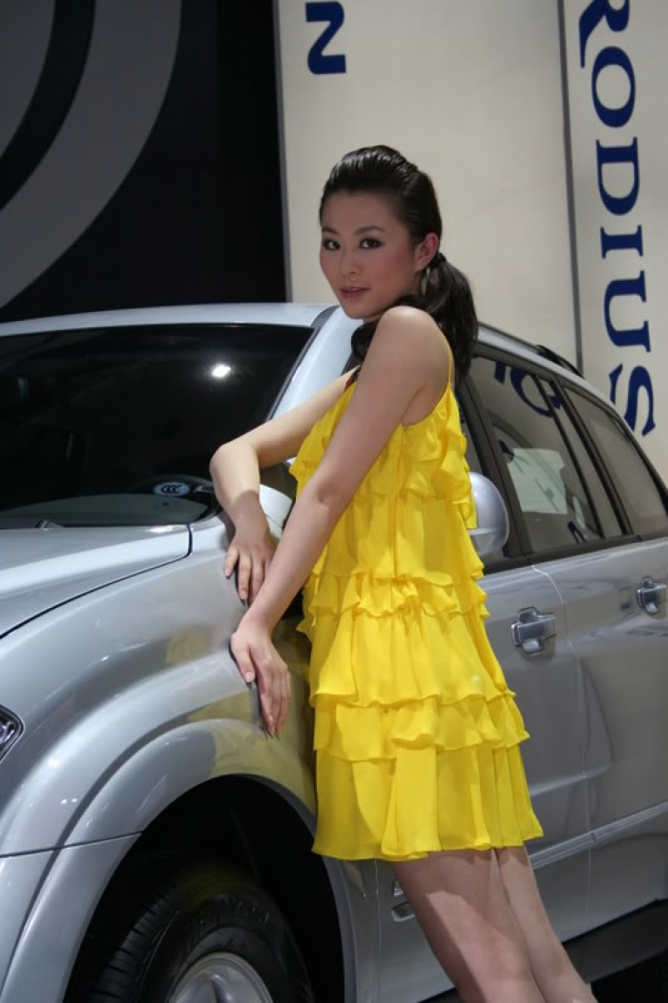 2008 Beijing International Automotive Exhibition